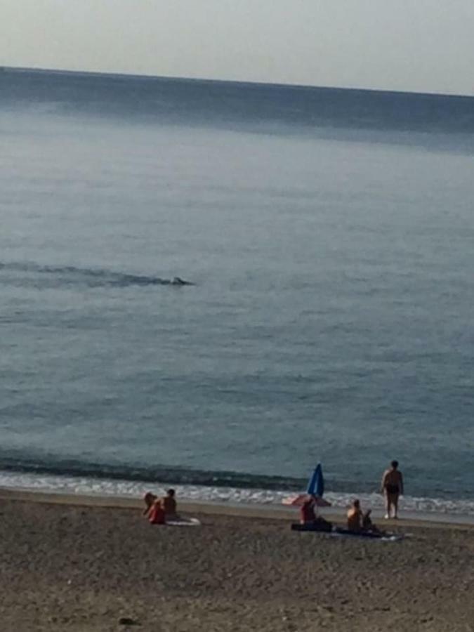 사보나 Sabrina'S Relax Fra Mare E Storia 아파트 외부 사진